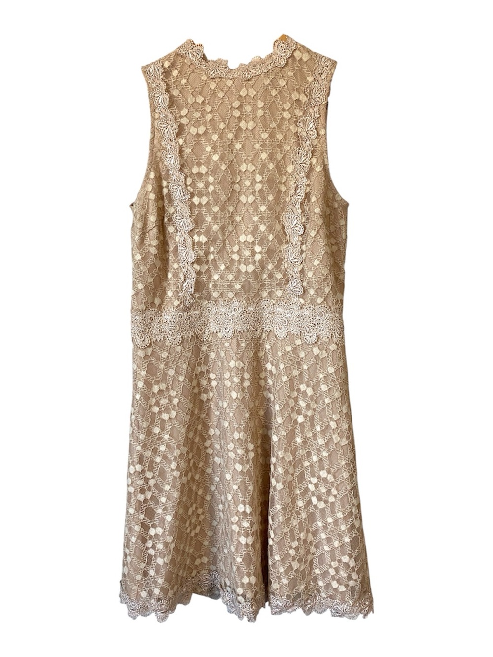 J.O.A. Sleeveless High-Neck Lace Skater Dress in Blush Pink Medium